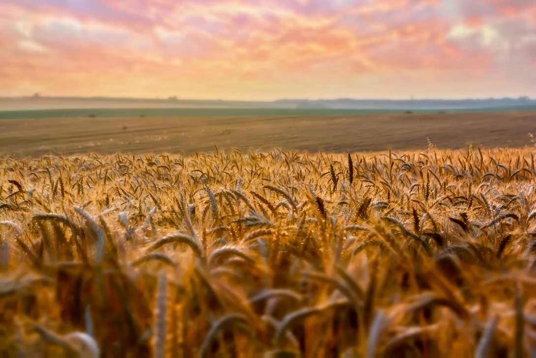 View 9cf99ac07f4609b1fc93863653e87edc.jpg by ALeksandar Machev