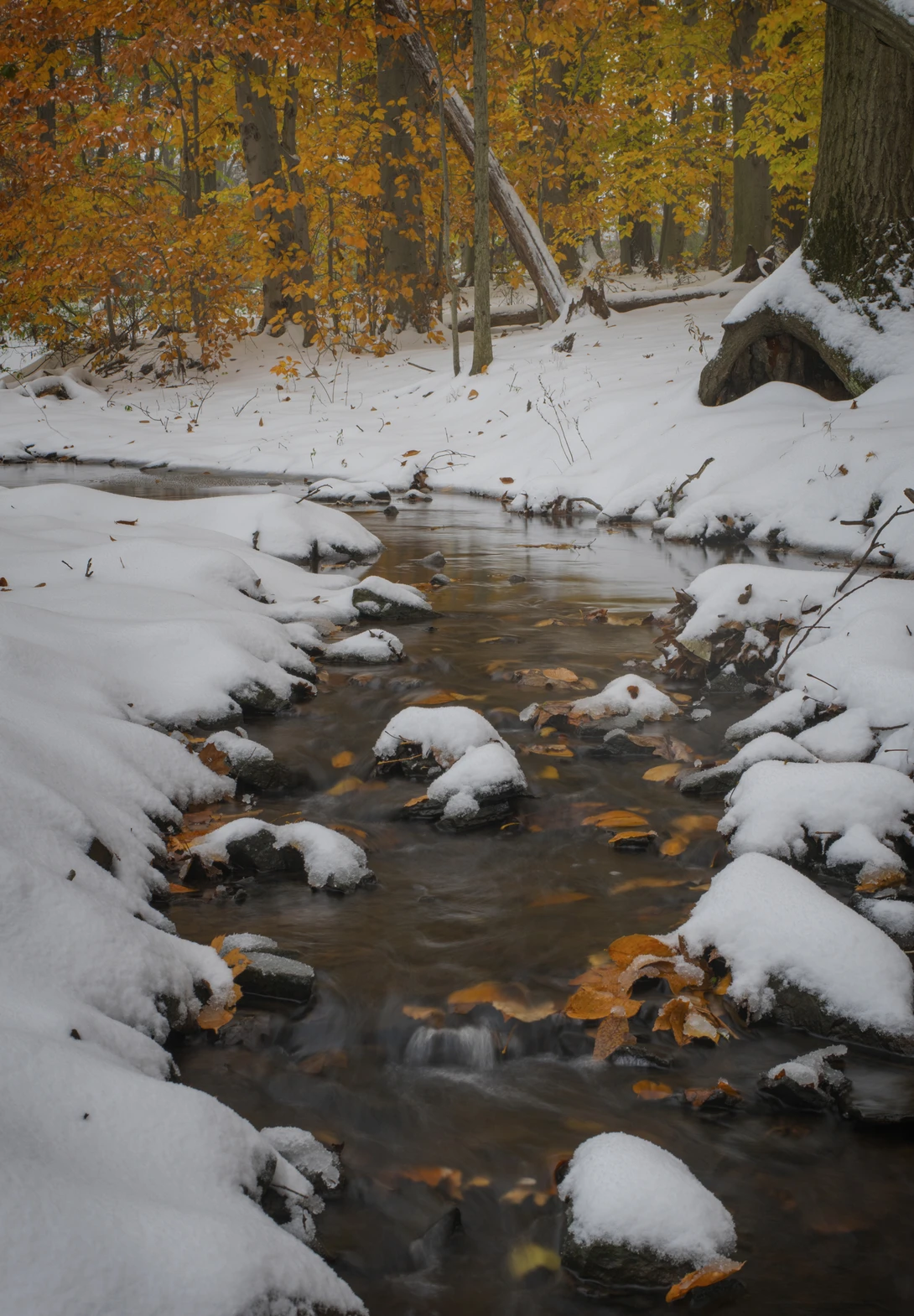 View 9d6d2ca8602281c822db6f6e84115e3f.jpg by joseph cole