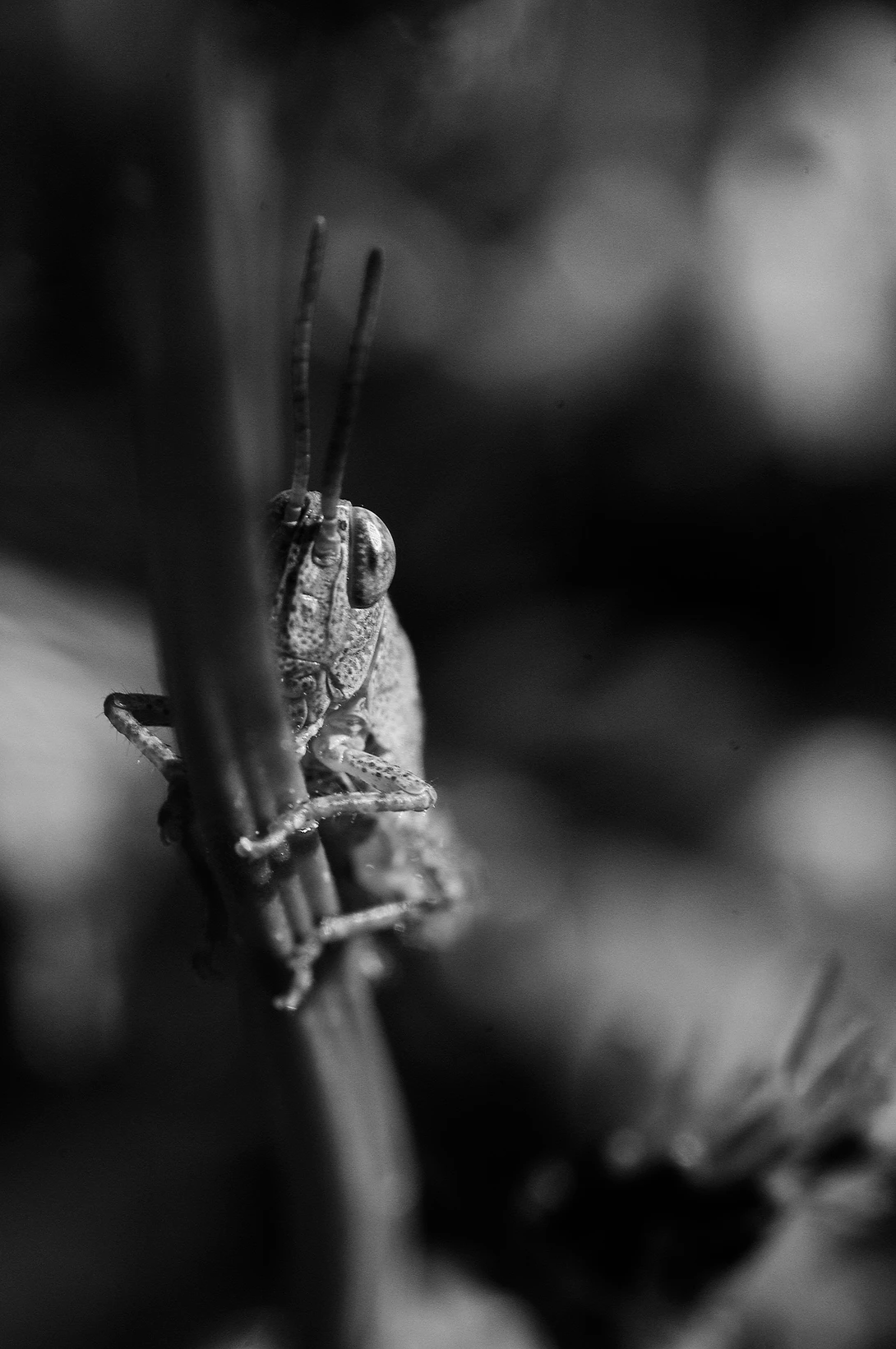 View a352574fbee2fb0d3e127ed50a743380.jpg by Jeremy Martignago