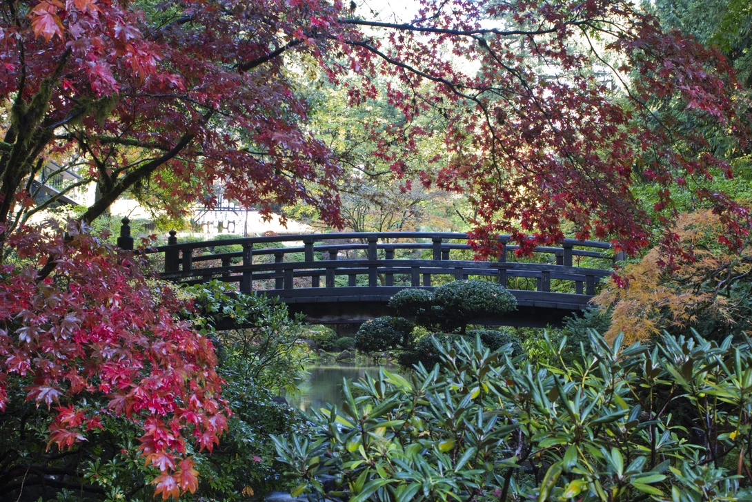 View c391d66686c0c7ed58bd5c8416216b21.jpg by Jeff Haynes