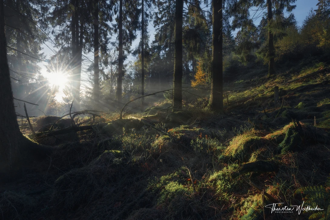 View c7c2944b3665fe4d30e71d41e352c362.jpg by Thorsten Westheider