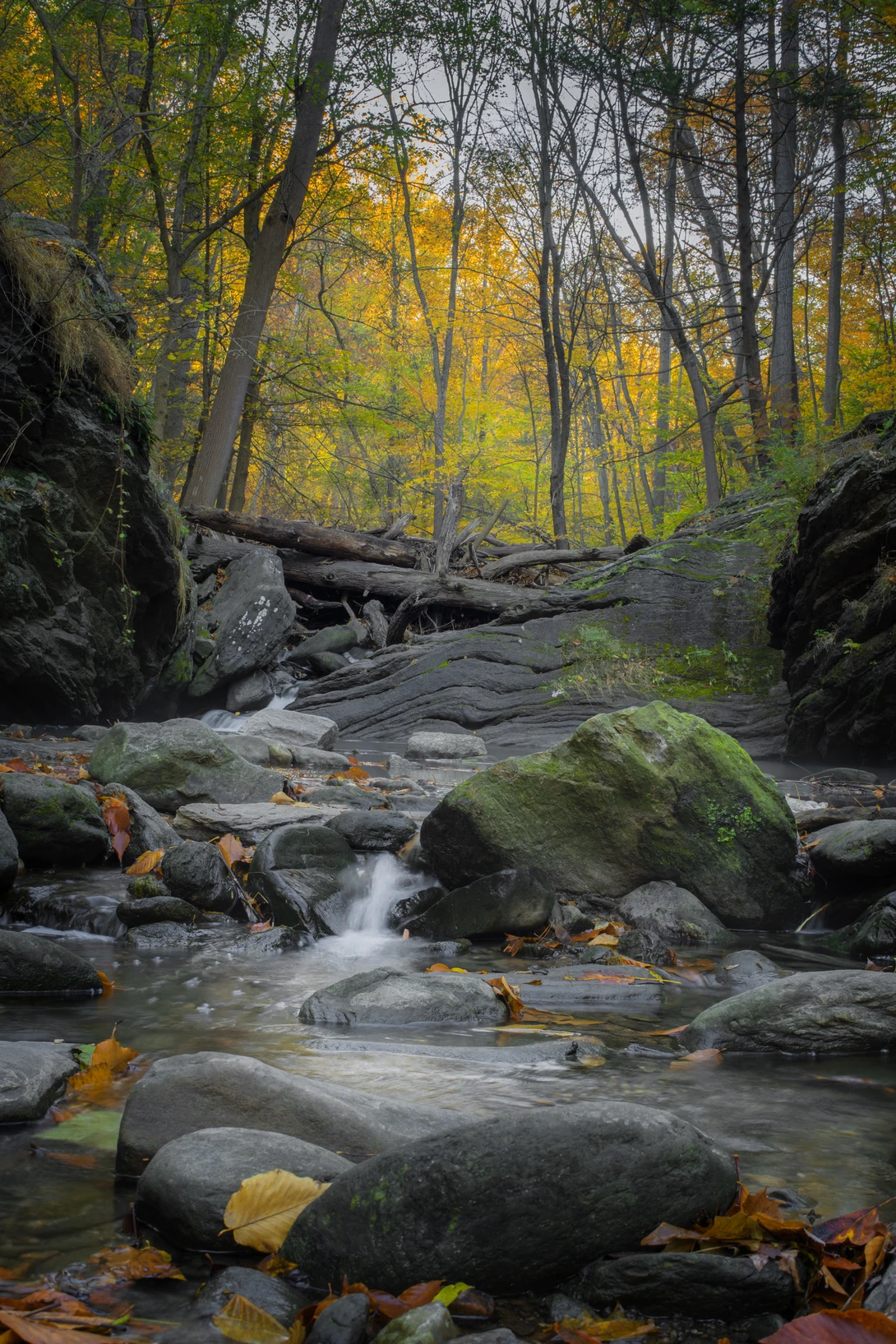 View cdc1e11b562d3214d9d35138f15ac311.jpg by joseph cole