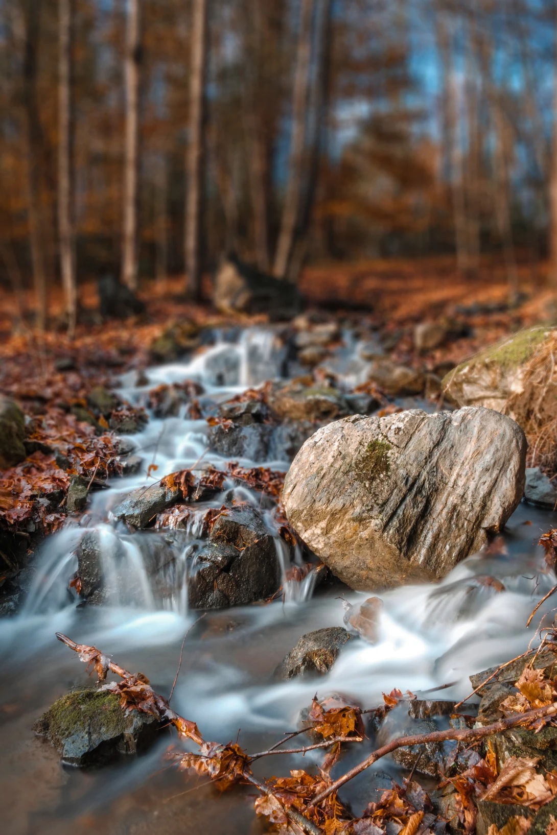 View d86d1891634496fd09b9e257c614bc43.jpg by Wojciech Sawicki