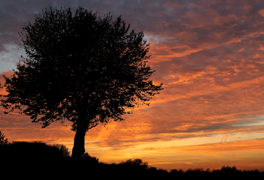 View dce8d386e59872a581139c596d4eed1b.jpg by Thorsten Westheider