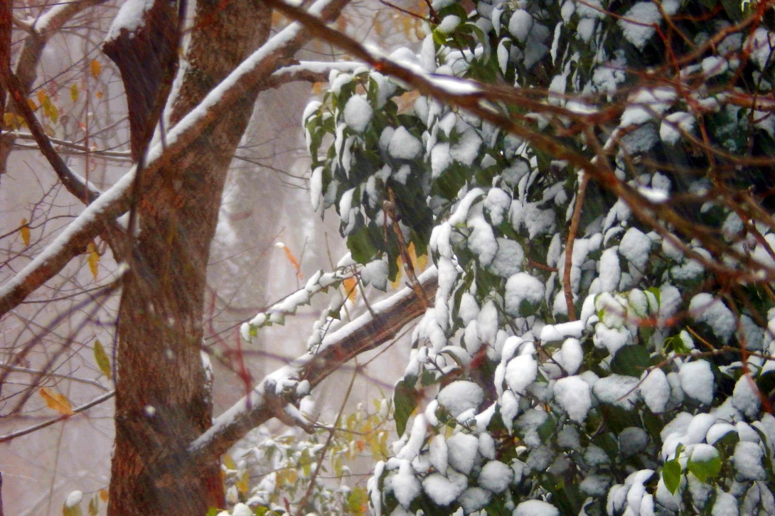 View e4d75b39ec3752855f5d8c9ce4350c00.jpg by Andrew Williams