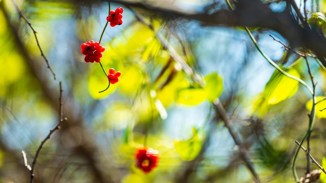 View e5993365d8a2d5358807b381f531d958.jpg by Timothy Harris