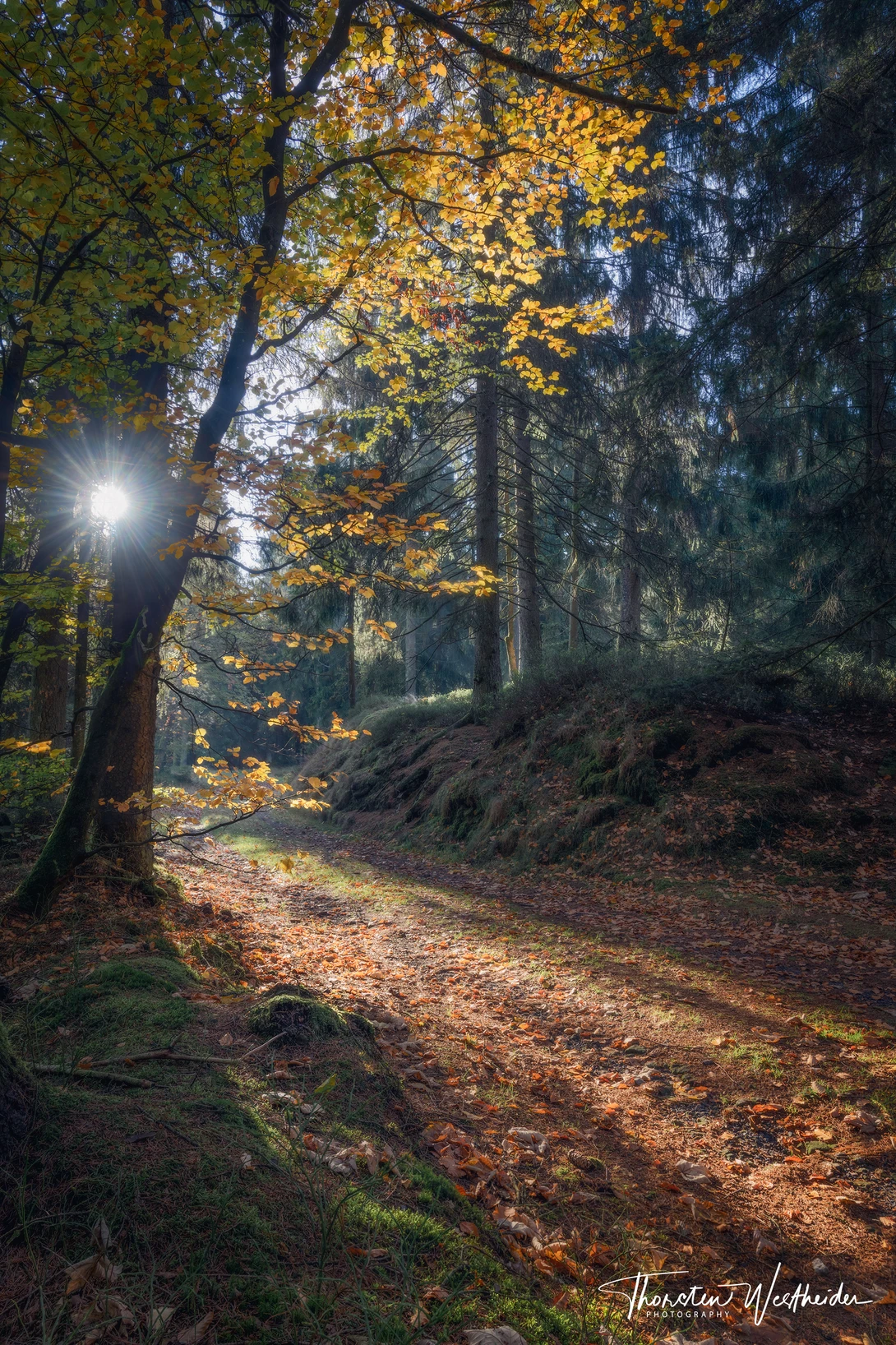 View ed5d125f7c3d0bc420ed10c21b111a09.jpg by Thorsten Westheider