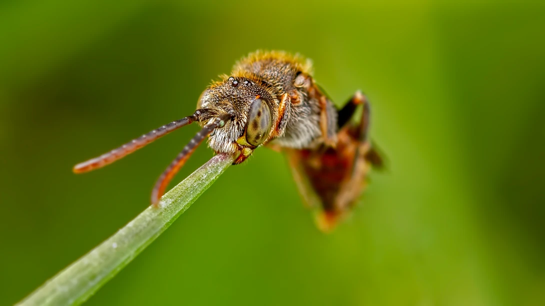 View f4f0be9618972c49e79fa4a9aba7851c.jpeg by Phill Luckhurst