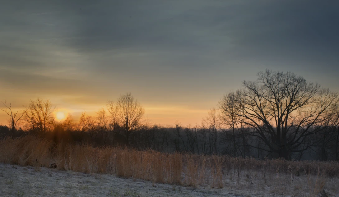 View 358f7be299eb58574381393b73ed40c9.jpg by joseph cole