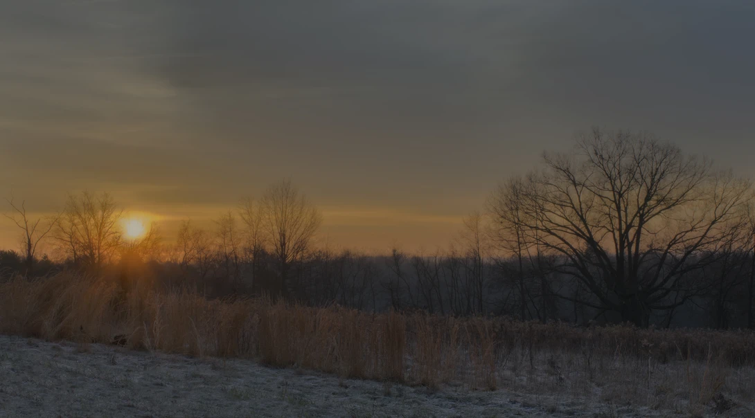 View 426b7eb3aee7bf335f8cc198a7609de0.jpg by joseph cole