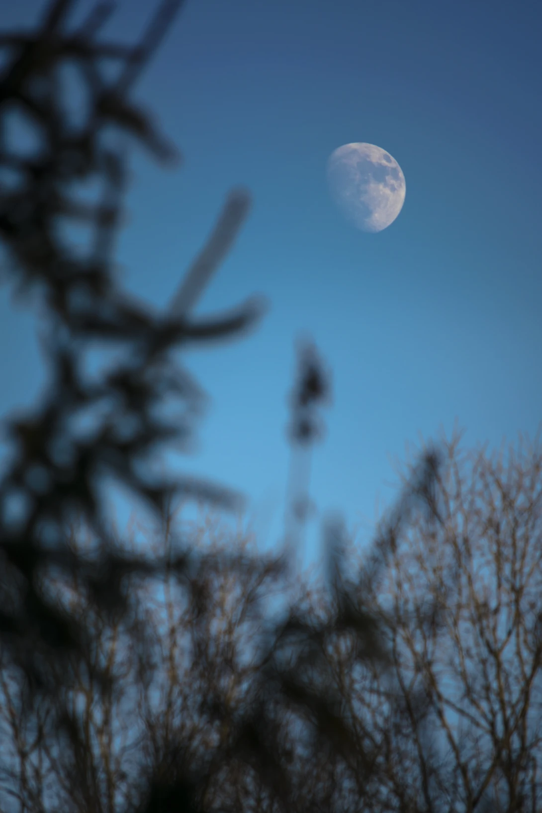 View 71851406945b0920f274bc3482234084.jpg by joseph cole