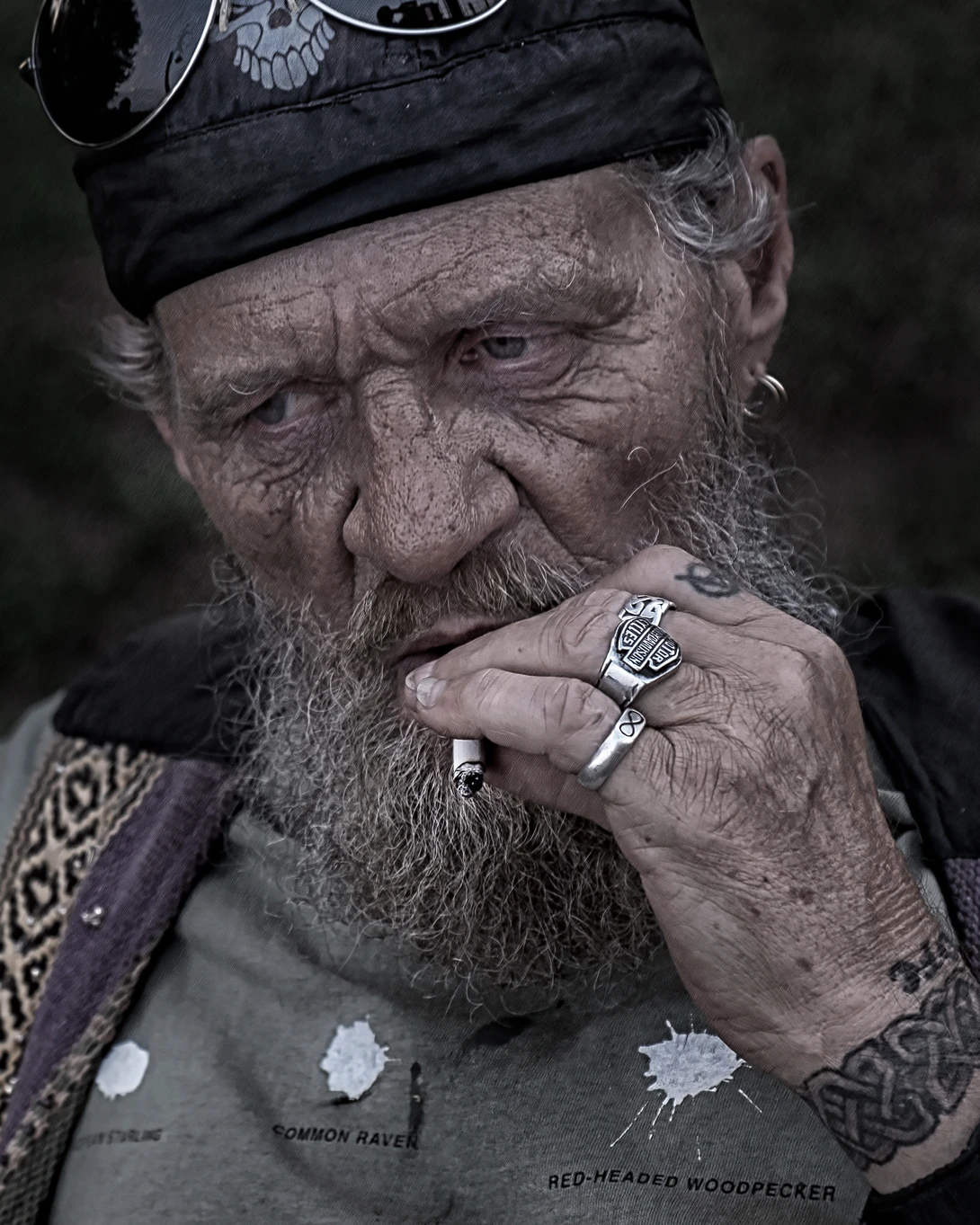View 8f6ca0e3a20ab77a0e99fb4454ddc302.jpg by Gregor McDougall