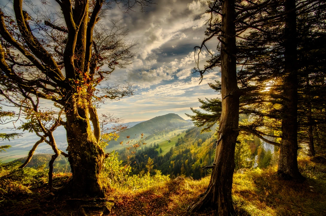 View Tale of Beaulmes by Marc Doudiet