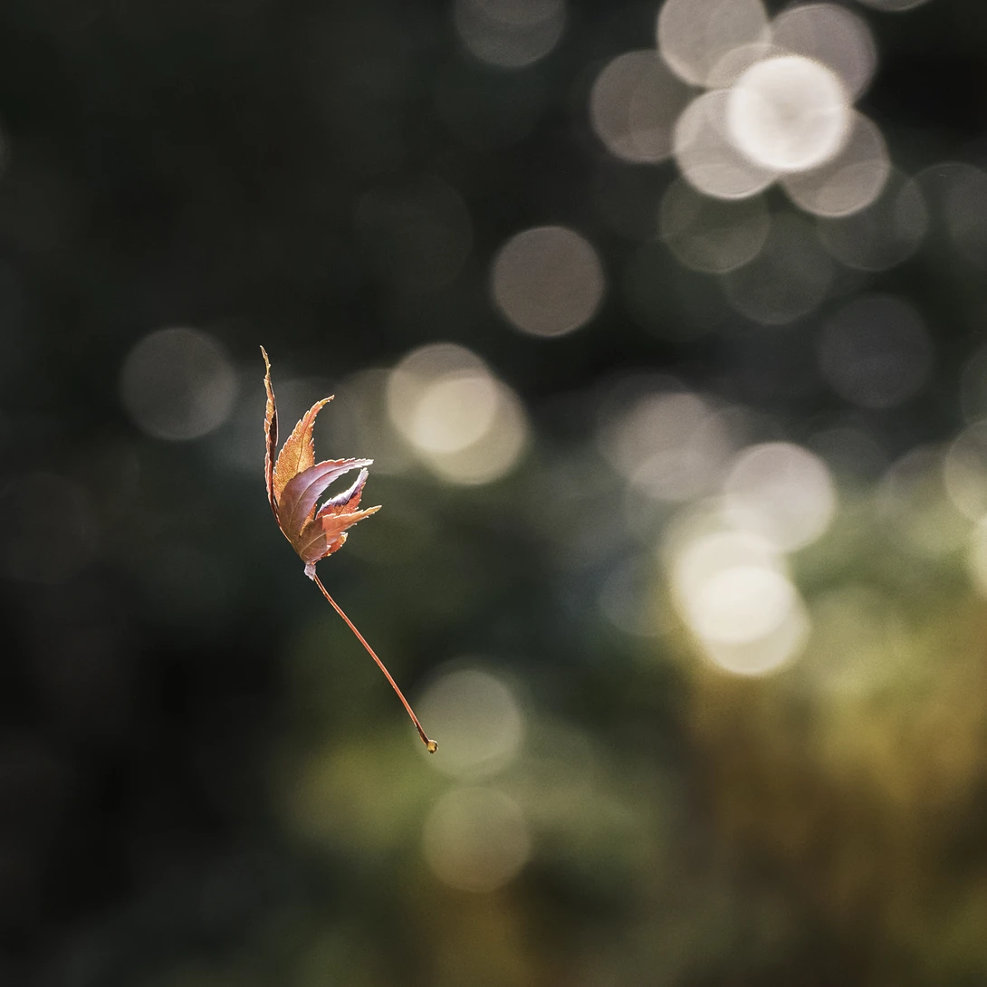 View 9d6fd7032c0a2bca538a9429710c0a26.jpg by Jordan McChesney