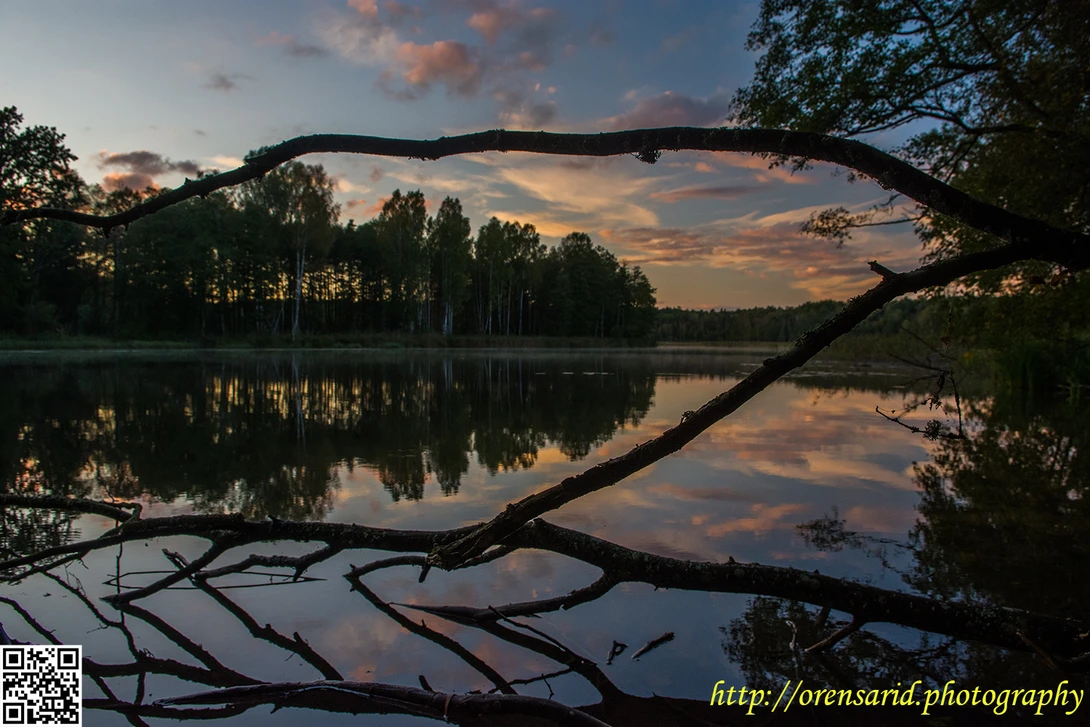 View b53a33a4c4f454af5e17db52da0c27d5.jpg by Oren Sarid
