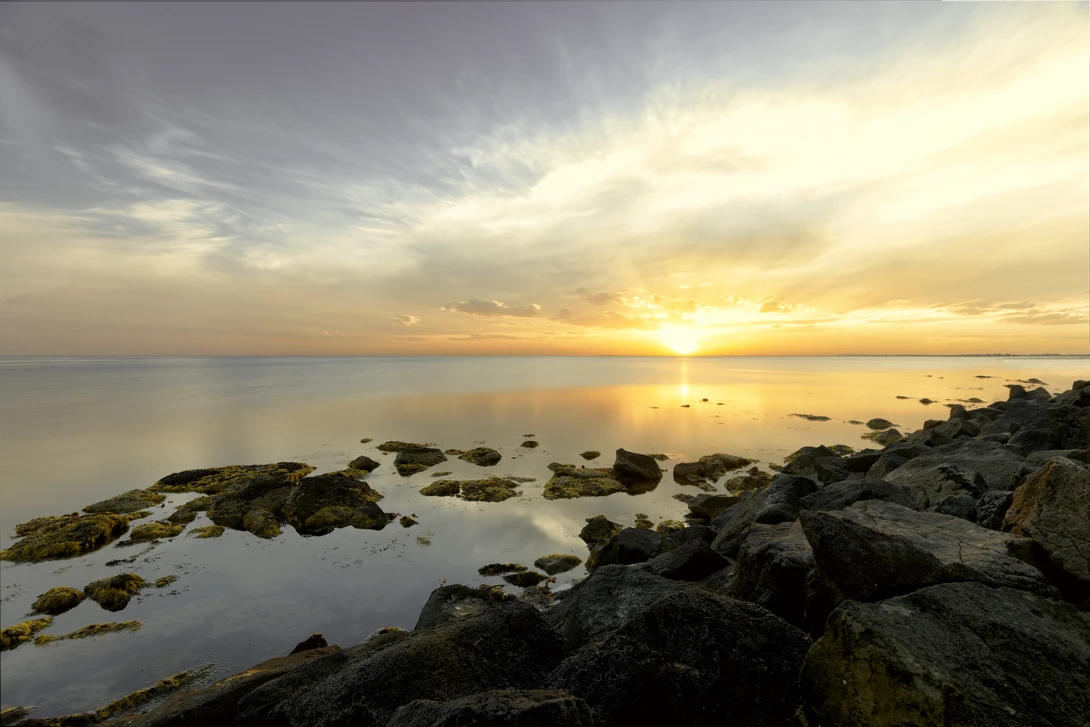 View d3451ca48cbacda718d28fed213a50fa.jpg by Adiasek .