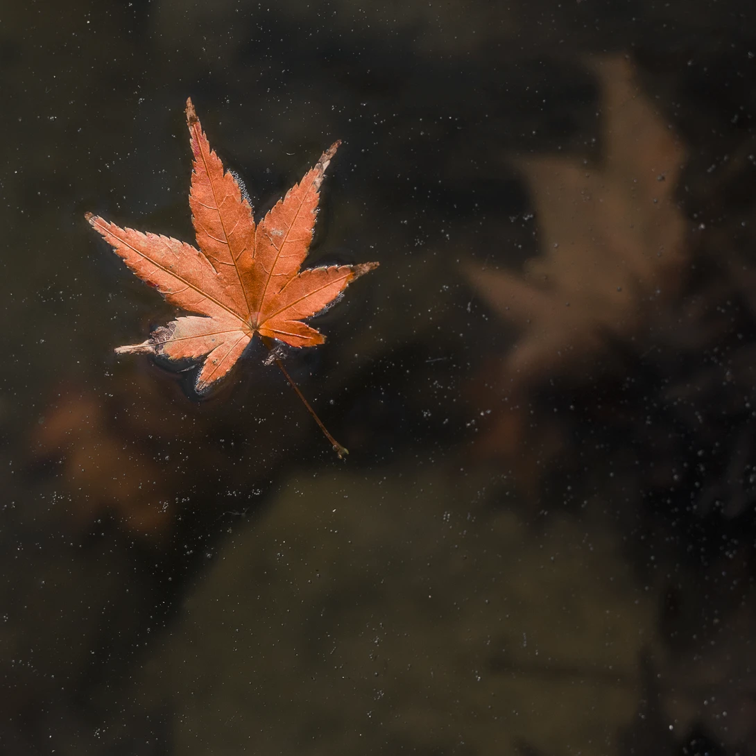 View ff2edbca64d3757da6012ac10c3debef.jpg by Jordan McChesney
