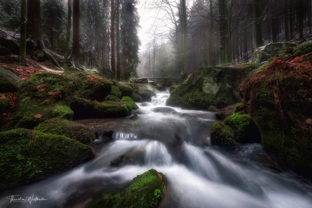 View 03bac29097c617cb9b9fe88620a06e42.jpg by Thorsten Westheider