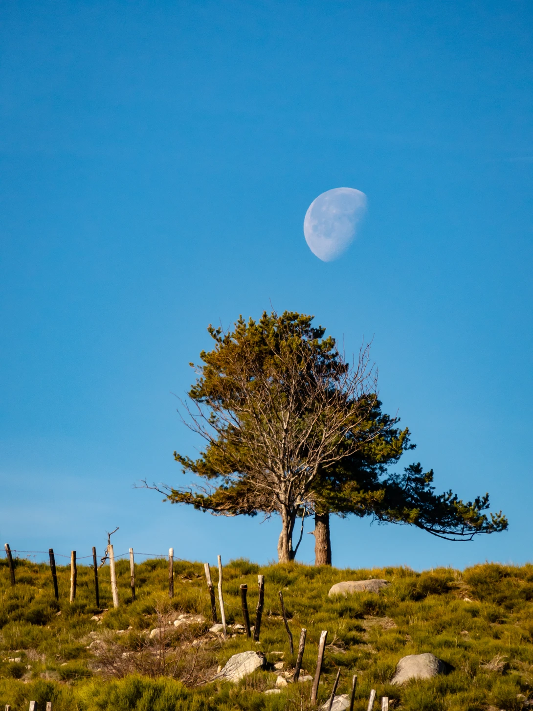 View 0e9b2c8fb260a2090b65fb8009024e78.jpg by Nick B