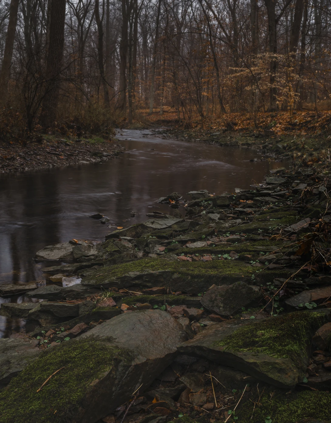 View 0f1b96fbc1e549bad37b9976551a4a59.jpg by joseph cole
