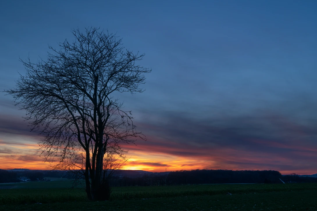 View 0f6074e34e5fdf299beea5ce95f42b8f.jpg by Thorsten Westheider