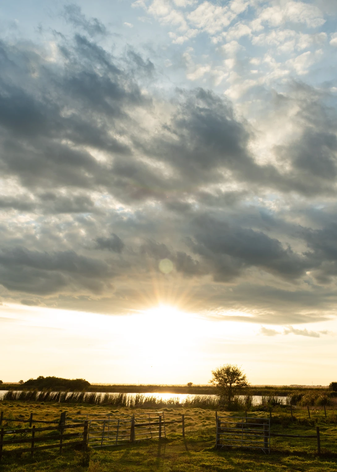 View 1a0bd9f5e8ab357948f2e0a7e6a2f49d.jpg by Mark Taylor