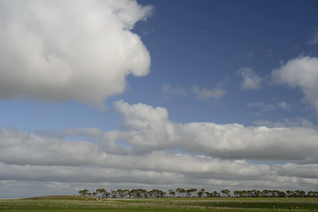 View 23075d63932cd1b36db359b1fbfe6748.jpg by Chris Jablonski