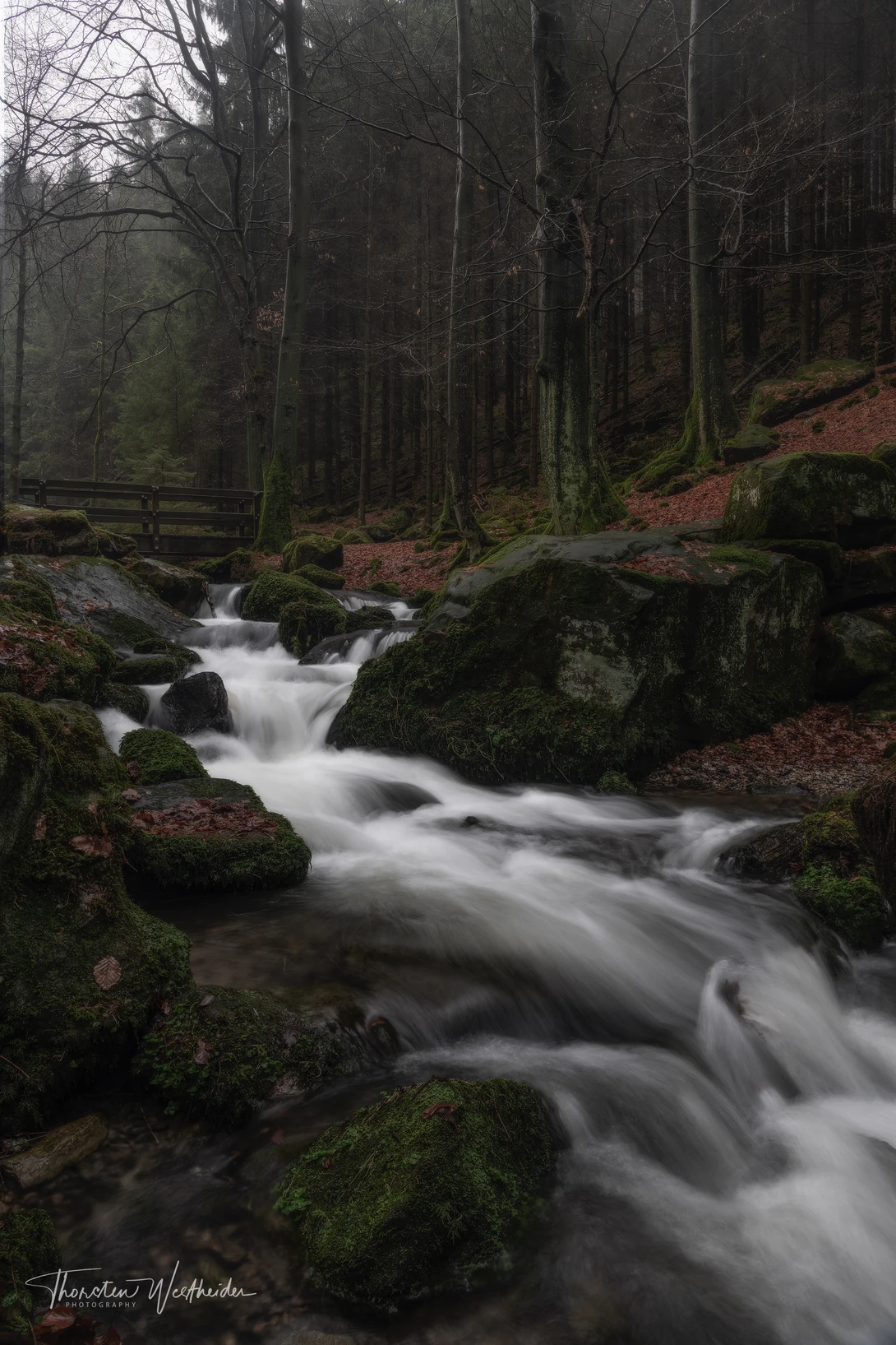View 313c7faf90ebac0dc6e6829735fecc4a.jpg by Thorsten Westheider