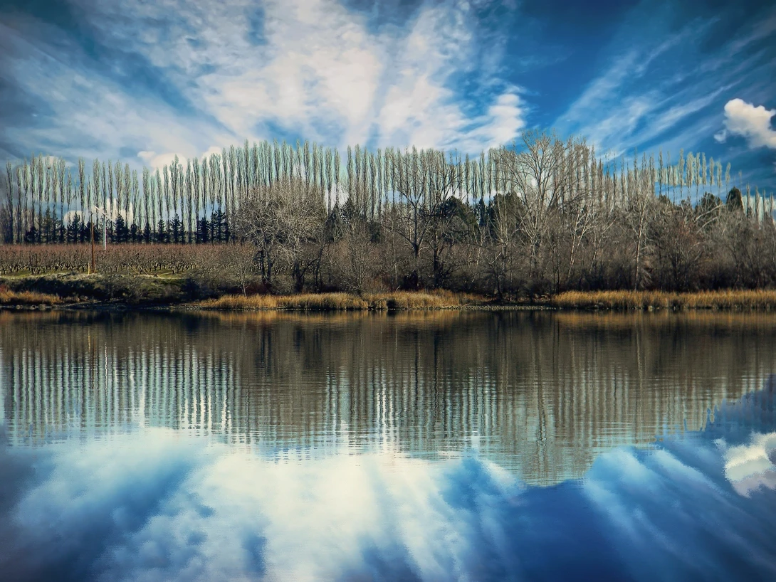 View 3b5b7d8ea02c0d8d340f8d5a72f05bcd.jpg by Chris Snyder