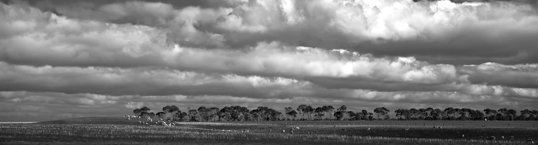 View 3c73efc40512969b77eb960325c24b80.jpg by Chris Jablonski