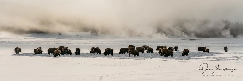View 4559907191a4b293a3ac76e3e75611ee.jpg by John Armstrong