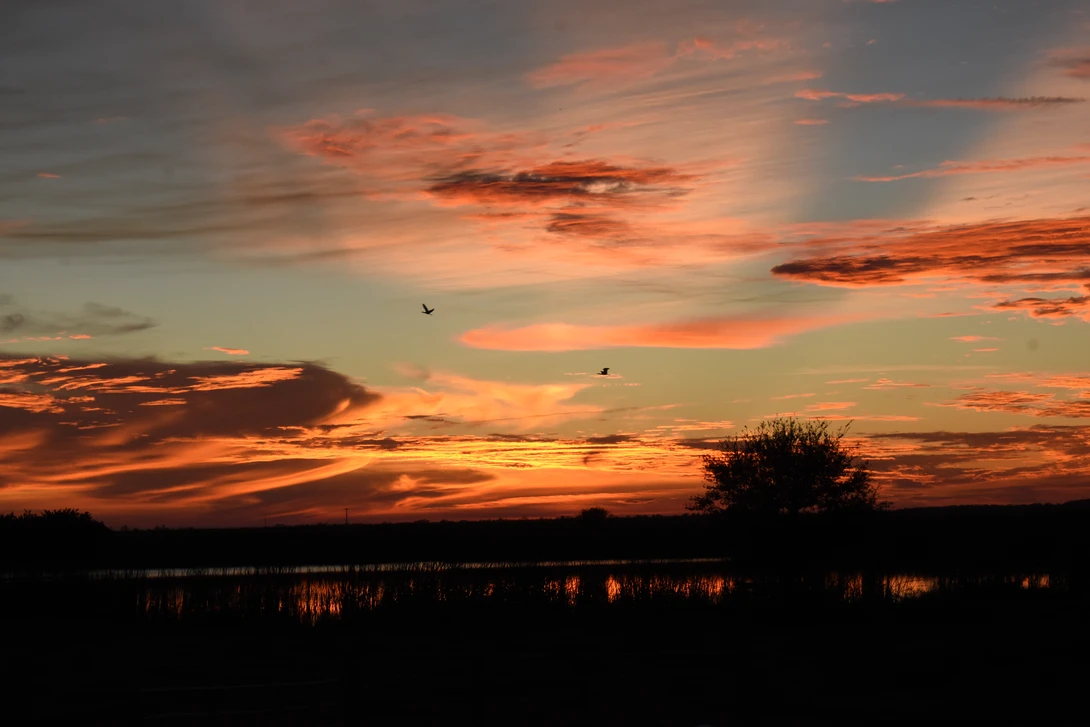 View 475baf3b9bef1f56181ef741a8f697ce.jpg by Mark Taylor