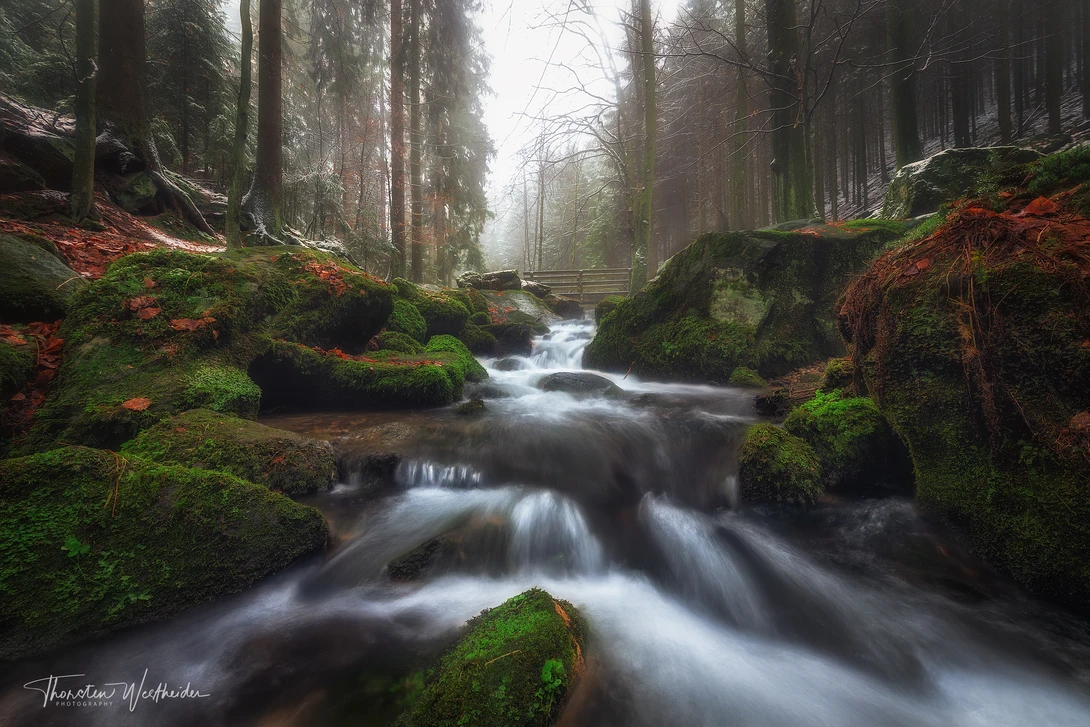View 547bf3aa09e502b00a02631e130a366d.jpg by Thorsten Westheider