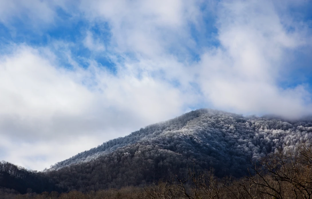 View 663924dd01e2b06230d7ca40709837d2.jpg by Mark Guinn