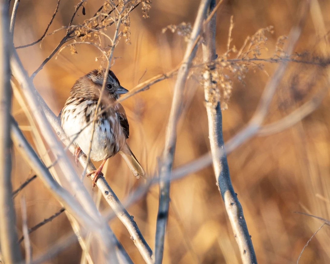 View 66f659f328a45577c35ef7a1c4dff0b9.jpg by Timothy Harris