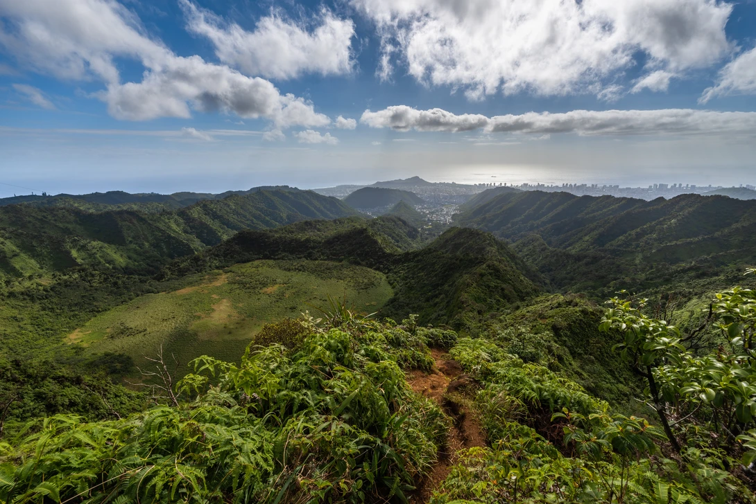 View 7337881aa0254885eb3ac586f64f2c98.jpg by Josh Sanders