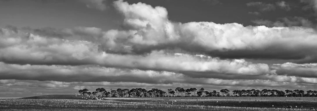 View 765fafc67b82d9f1e4cda2db1d76ba21.jpg by Chris Jablonski