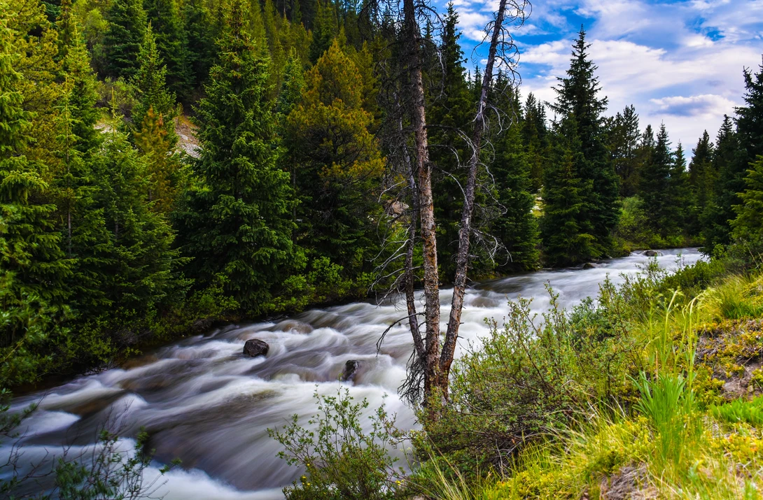 View Raging River by David Matthews