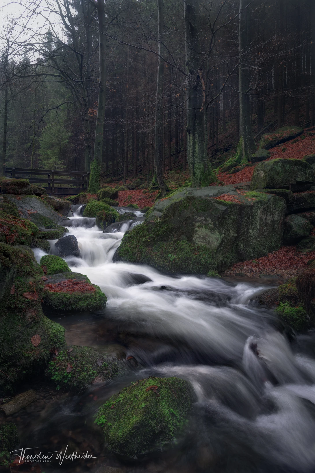 View 7b2f5c8cd1cce026e53a07d3a56ae40a.jpg by Thorsten Westheider