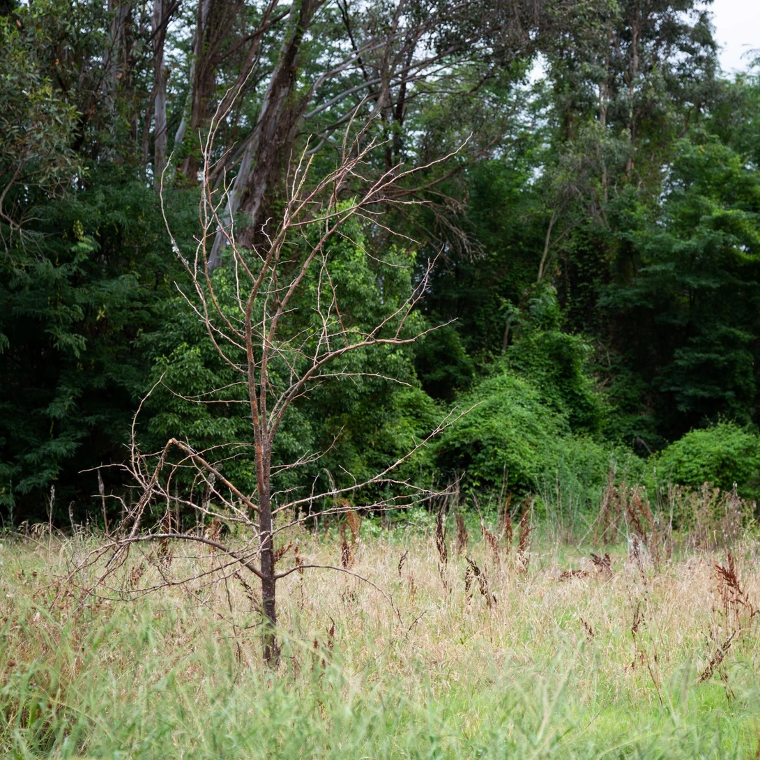 View 82c8afa713b0bfaadf684e29d5b4079d.jpg by Tim Joel