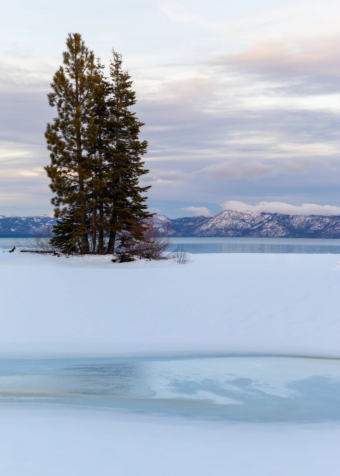 View 9e0d57199c9c3d22659ecd26807b78a3.jpg by Walker Lambert