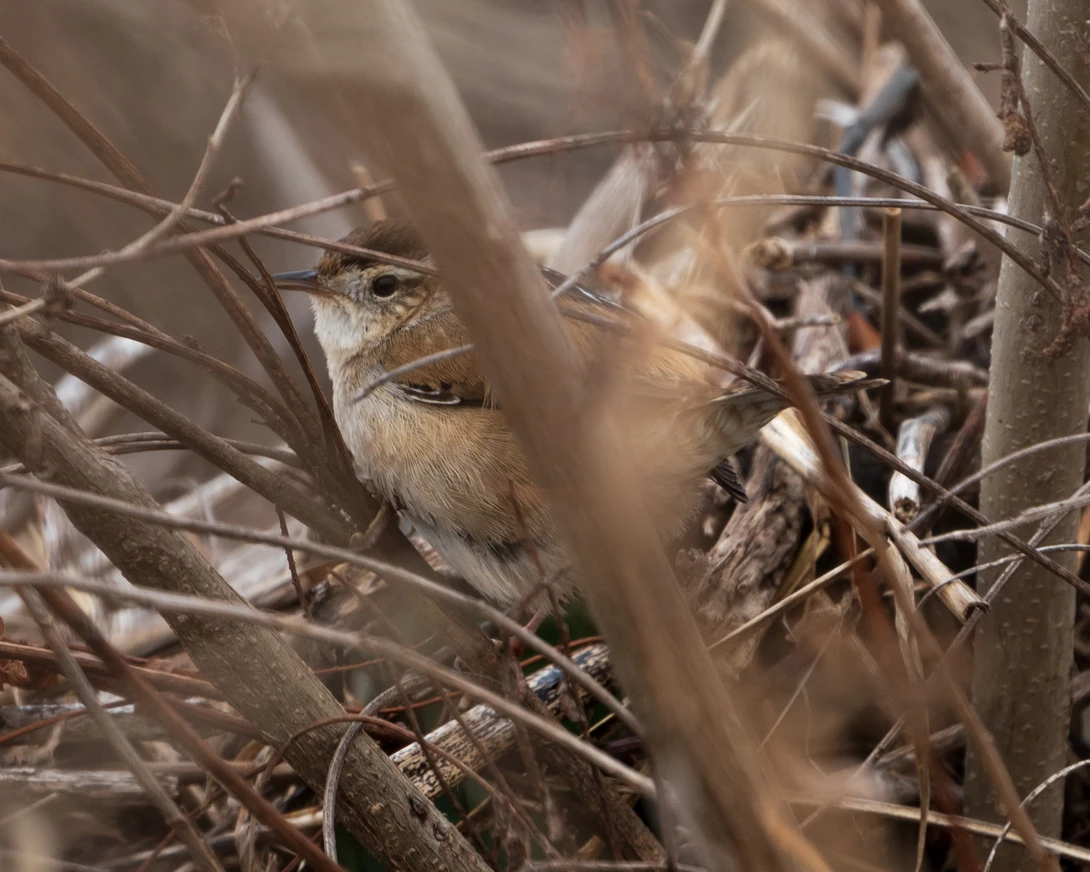 View a9672d23fe9429755cb4fbe66549ca57.jpg by Timothy Harris