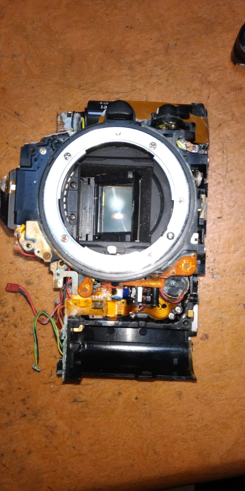 View ae49d544a35b890a03afc5c2c6862c48.jpg by Oren Sarid