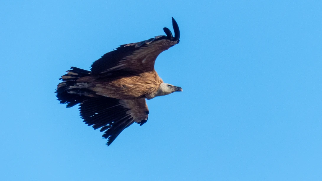 View b705a2082eb26b390aca75f84306ccbd.jpg by Nick B