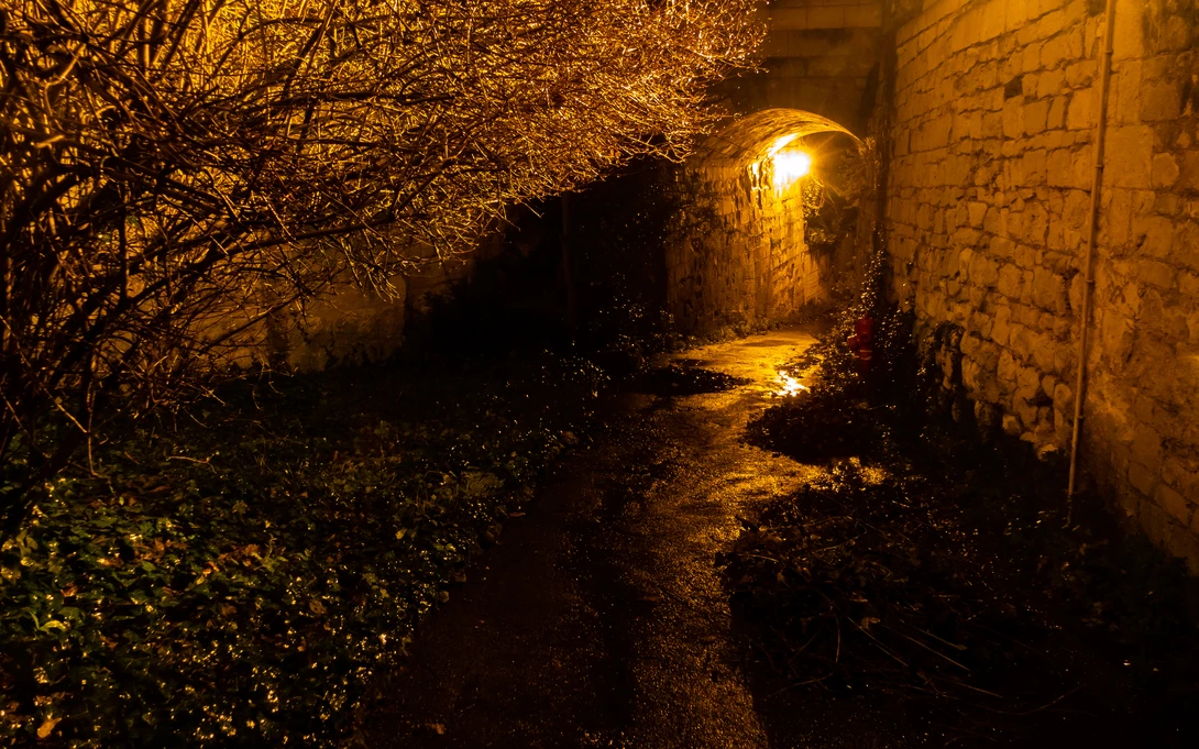 View b91913f3cdc7132d00a5f38db3fb59a6.jpg by Nick B