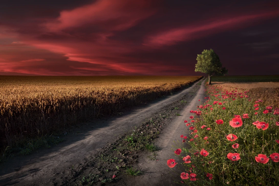 View c8a948a3206ee3d2a0893e6576a98b8d.jpg by Radisa Zivkovic