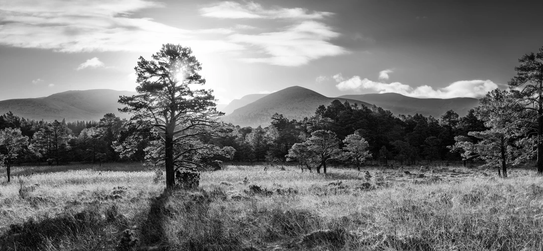 View d1874f392f365e80855f9ae9543df7ec.jpg by David Russell
