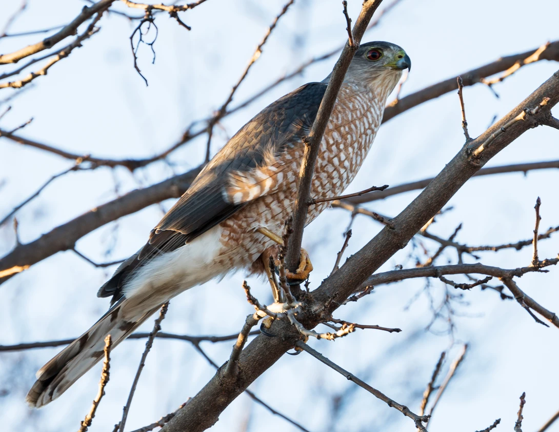 View d63d09cbd440f8cd3eb1f8b883c99046.jpg by Timothy Harris