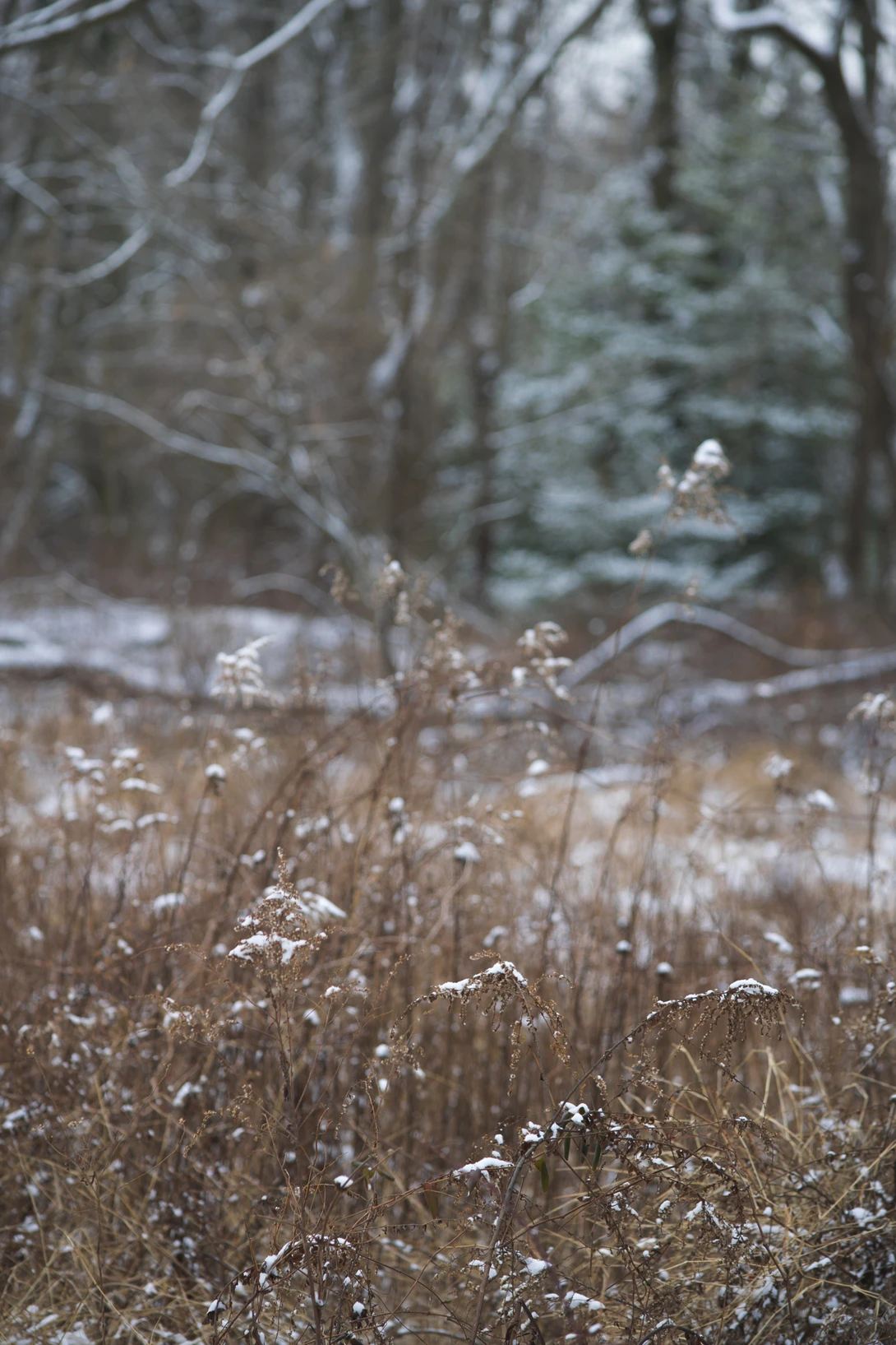 View ec1d8af8f9685913602e8ec210b8108d.jpg by joseph cole