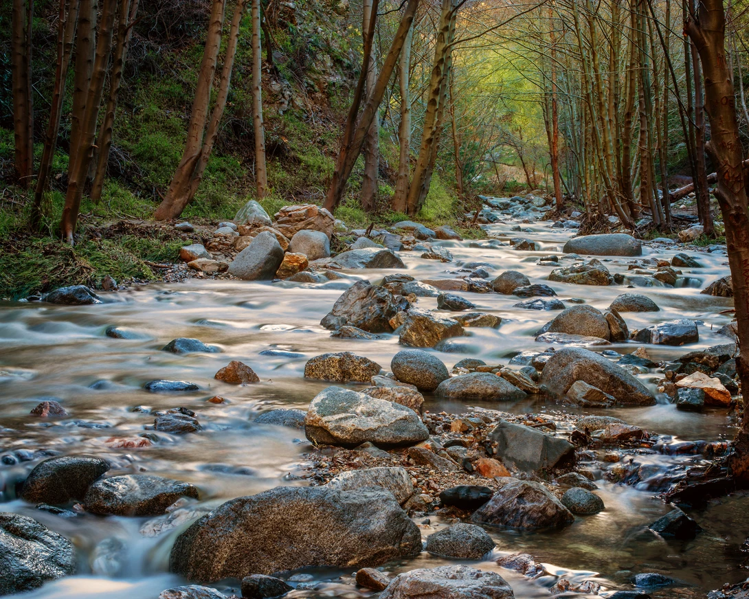View f0a685a0af7b4c6c09bbf14ecdfd552c.jpg by Jeff Walsh